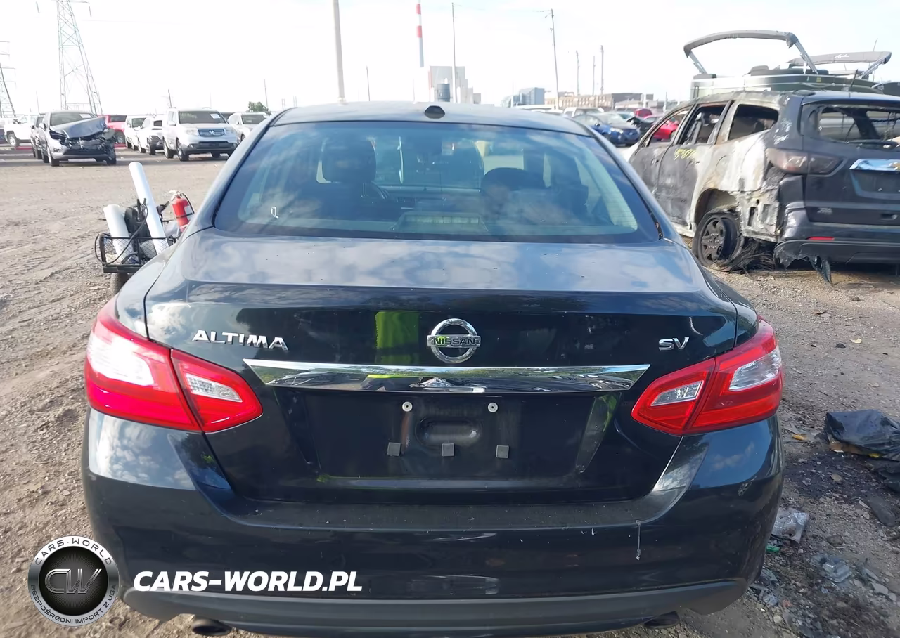 2016 Nissan Altima 2.5-2.5 S-2.5 Sl-2.5 Sr-2.5 Sv VIN:1N4AL3AP9GN318534 - 16