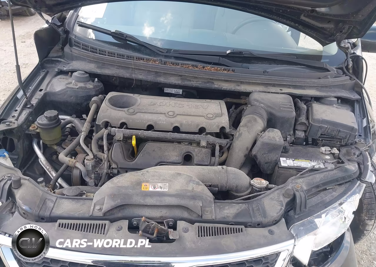 2013 Kia Forte Ex VIN:KNAFU5A22D5663698 - 10
