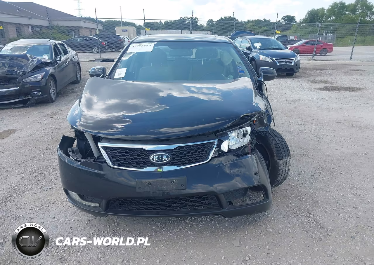 2013 Kia Forte Ex VIN:KNAFU5A22D5663698 - 11