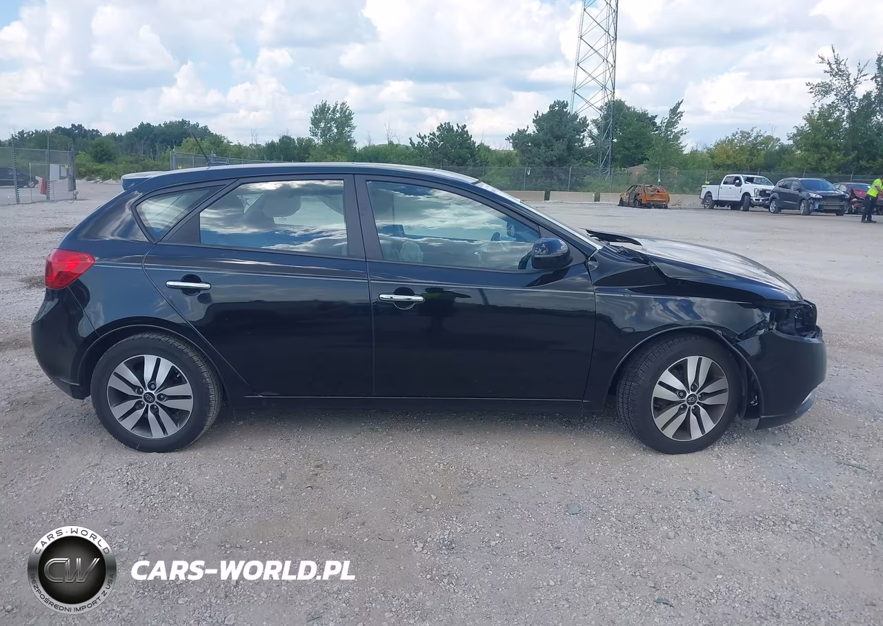 2013 Kia Forte Ex VIN:KNAFU5A22D5663698 - 12