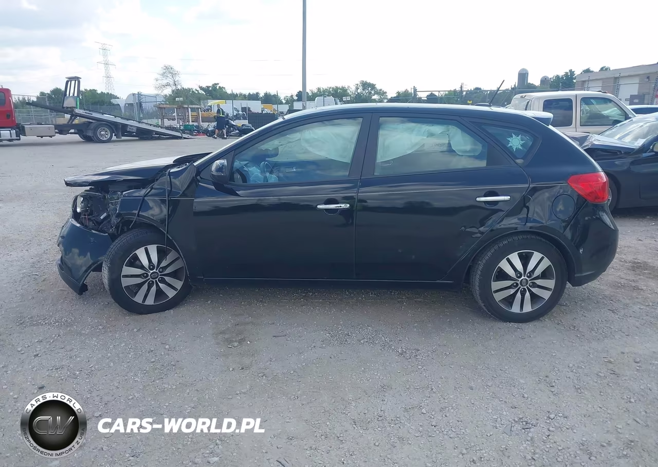 2013 Kia Forte Ex VIN:KNAFU5A22D5663698 - 13