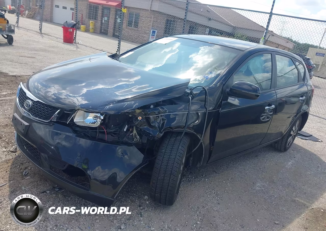 2013 Kia Forte Ex VIN:KNAFU5A22D5663698 - 2
