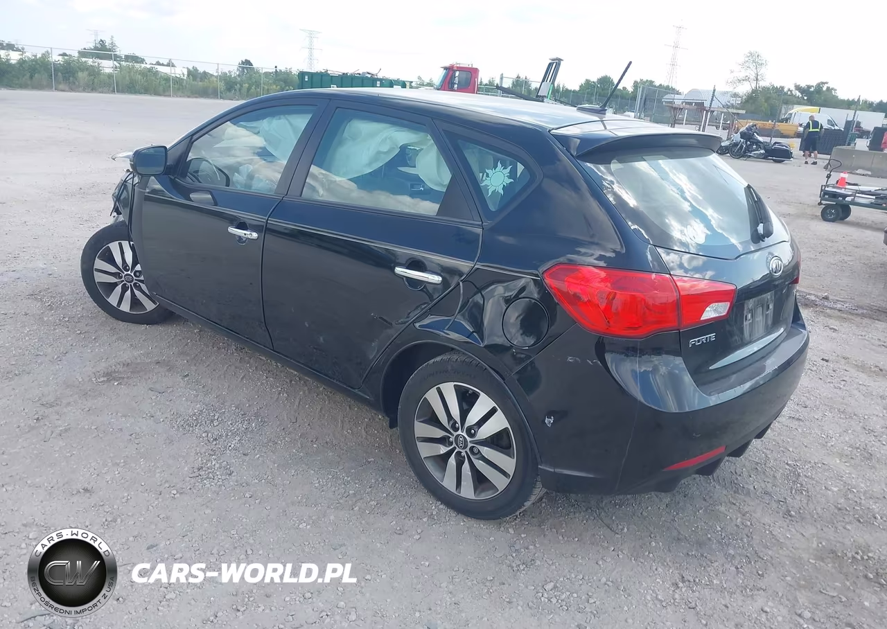 2013 Kia Forte Ex VIN:KNAFU5A22D5663698 - 3