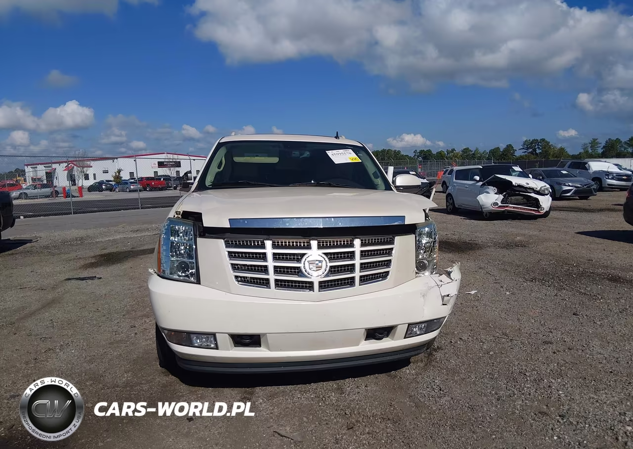 2008 Cadillac Escalade Esv Standard VIN:1GYFK66858R236570 - 13