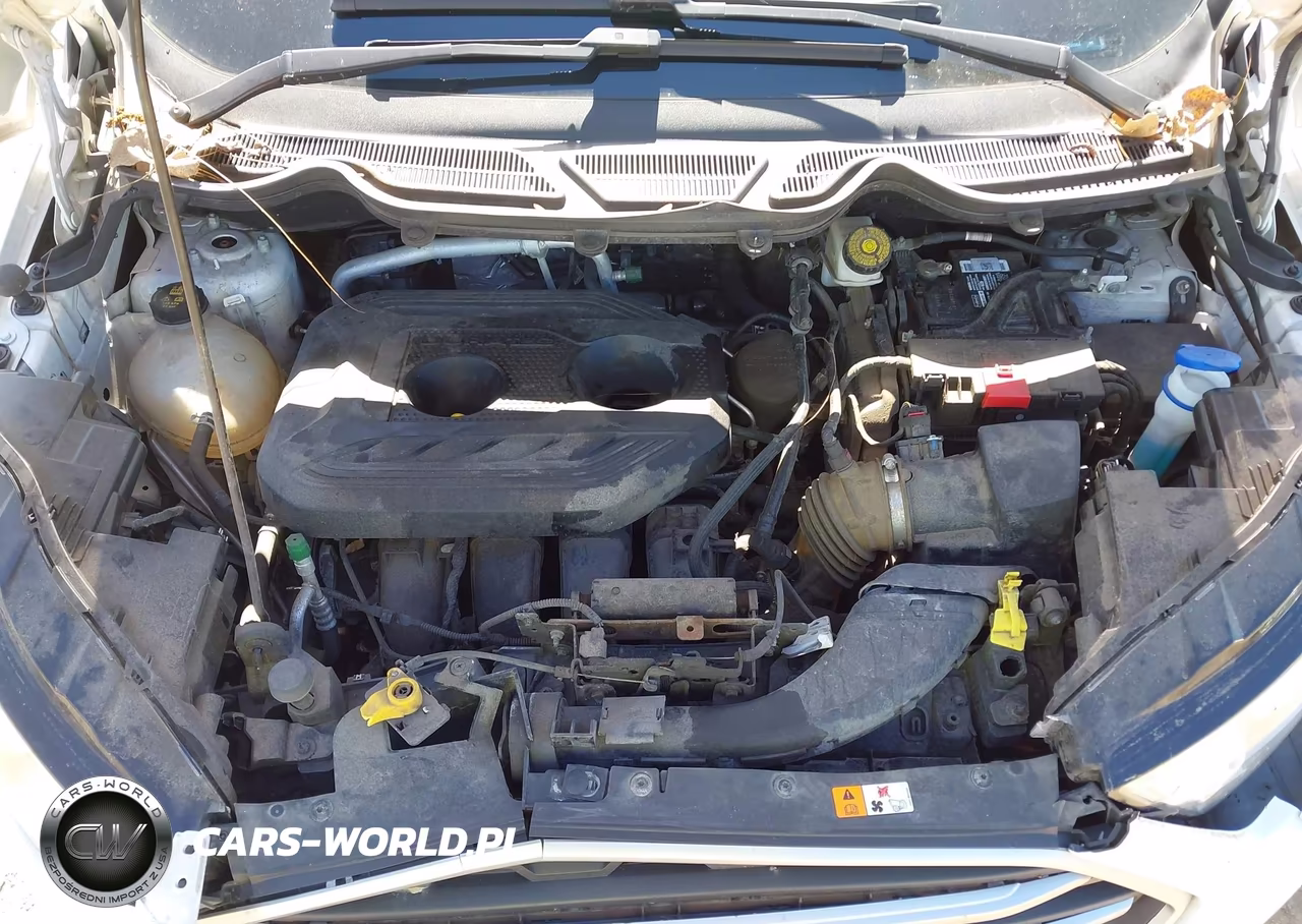 2019 Ford Ecosport Se VIN:MAJ6S3GL1KC266964 - 10