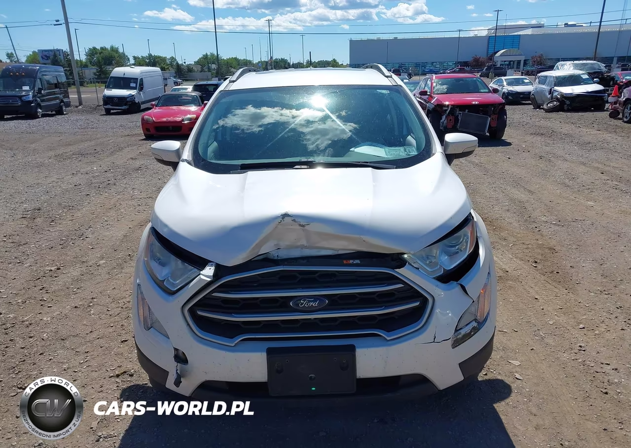 2019 Ford Ecosport Se VIN:MAJ6S3GL1KC266964 - 12