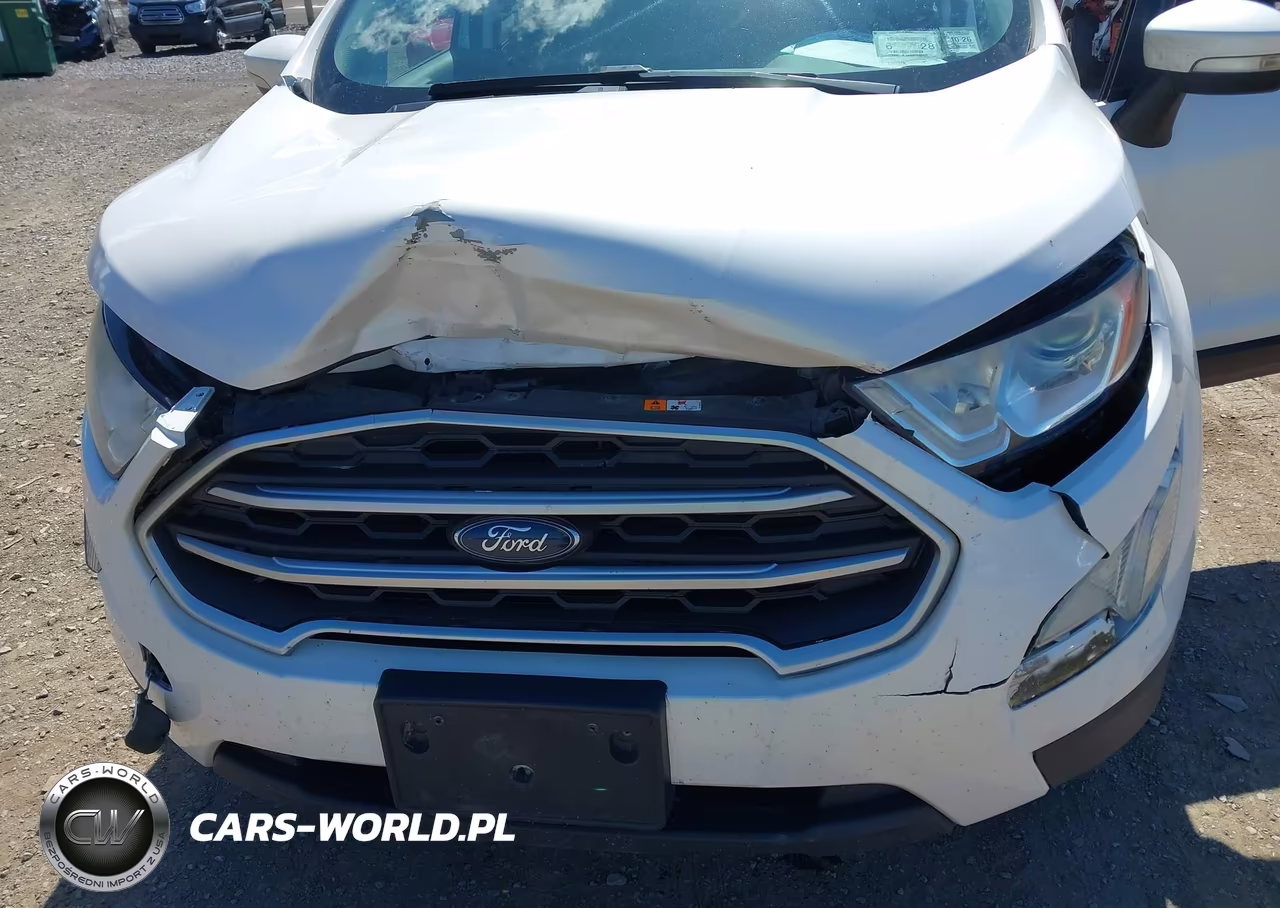 2019 Ford Ecosport Se VIN:MAJ6S3GL1KC266964 - 17