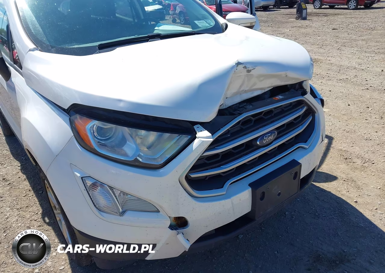 2019 Ford Ecosport Se VIN:MAJ6S3GL1KC266964 - 18