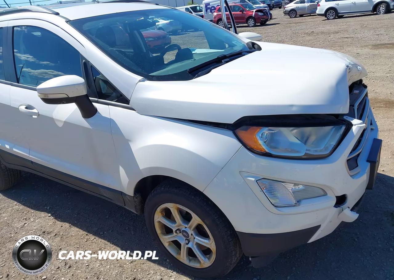 2019 Ford Ecosport Se VIN:MAJ6S3GL1KC266964 - 19