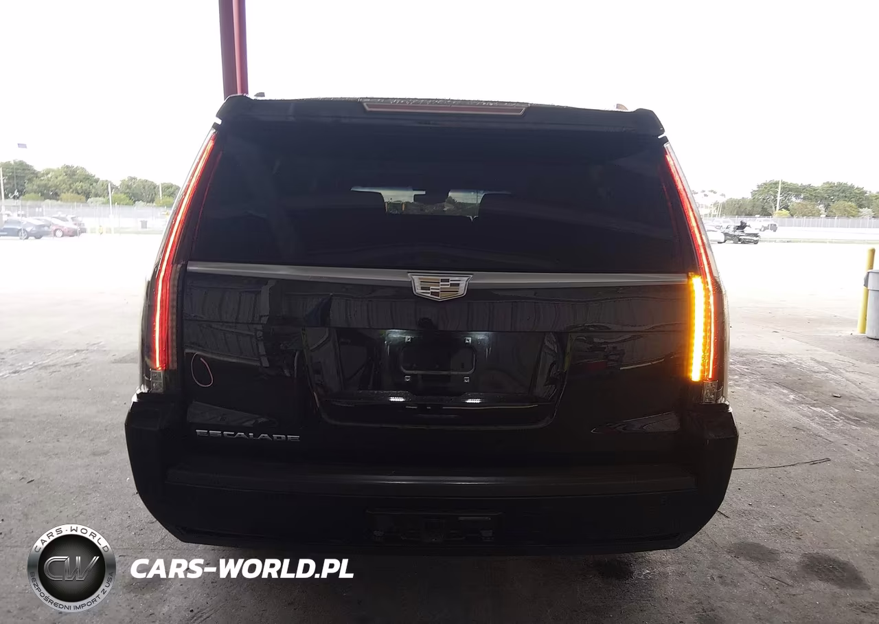 2016 Cadillac Escalade Esv Luxury Collection VIN:1GYS3HKJ8GR365580 - 16