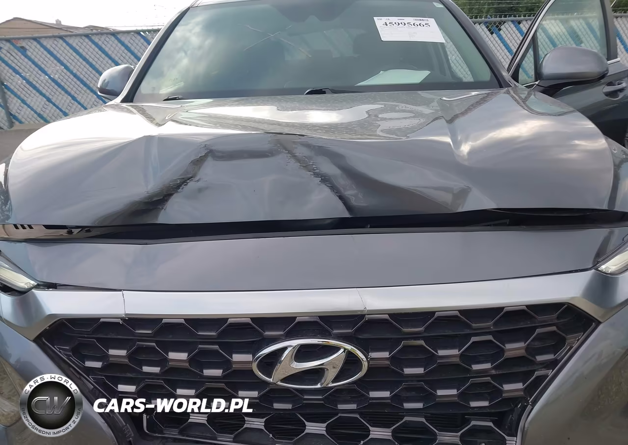2019 Hyundai Santa Fe Se VIN:5NMS23AD2KH065568 - 6
