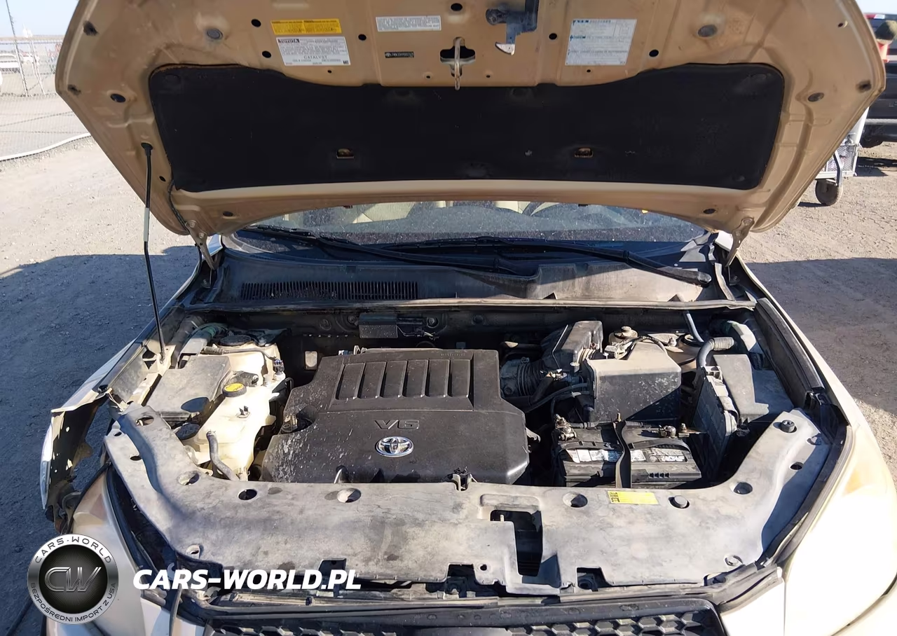 2009 Toyota Rav4 Base V6 VIN:JTMBK33V99D007675 - 10