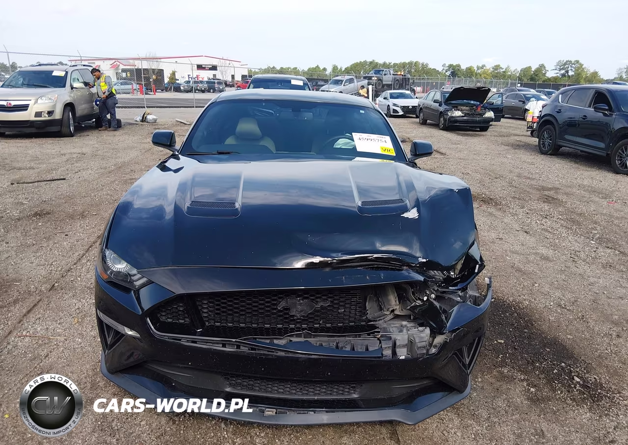 2018 Ford Mustang Gt VIN:1FA6P8CF5J5176072 - 12