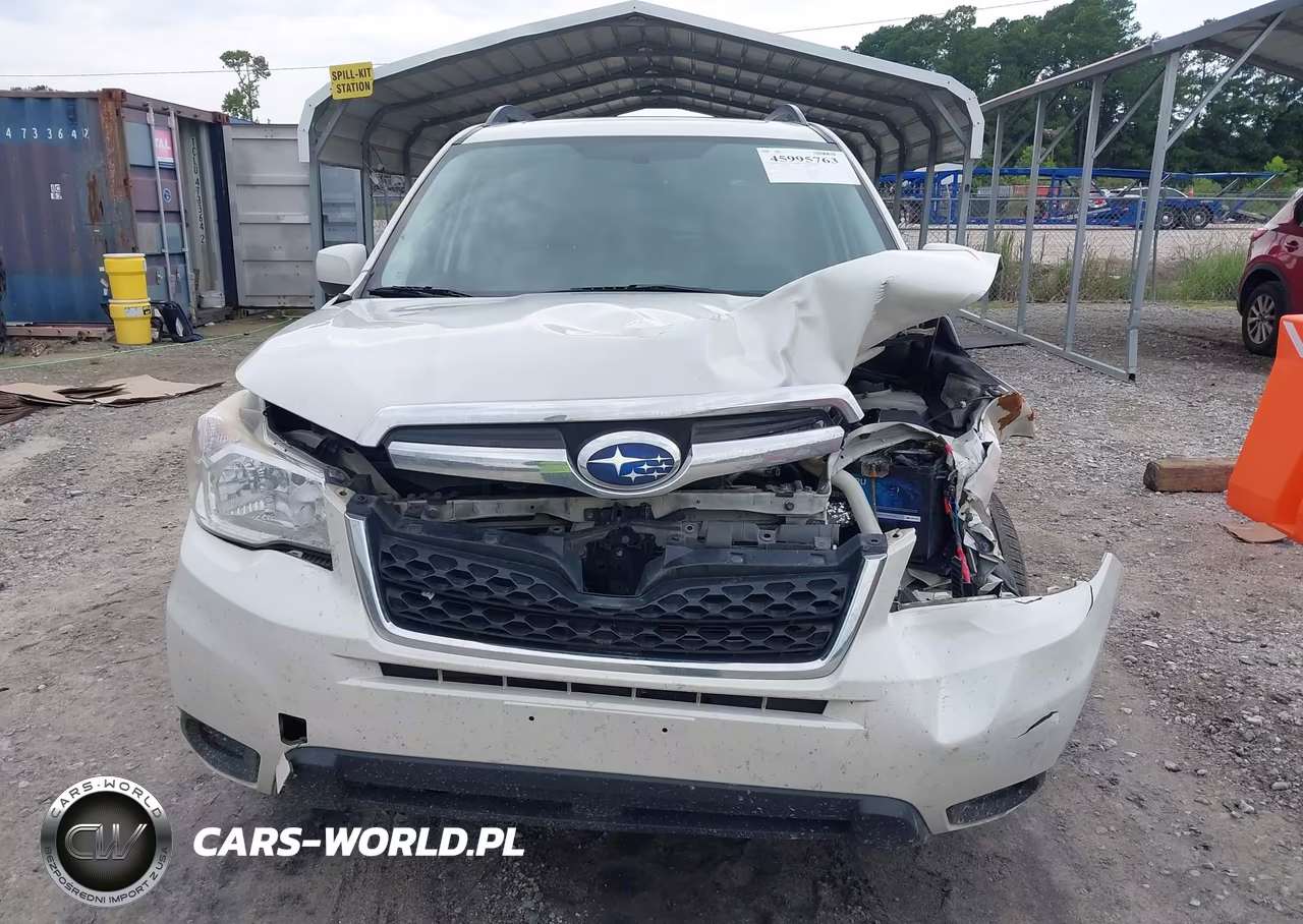 2016 Subaru Forester 2.5I Premium VIN:JF2SJADC2GH404740 - 12