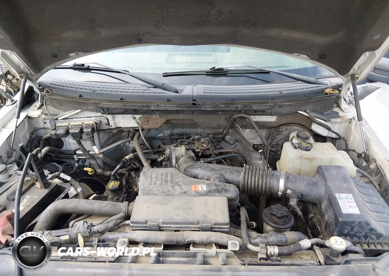 2009 Ford F-150 Xl W-Midbox Prep VIN:1FTRF14W99KB24957 - 10