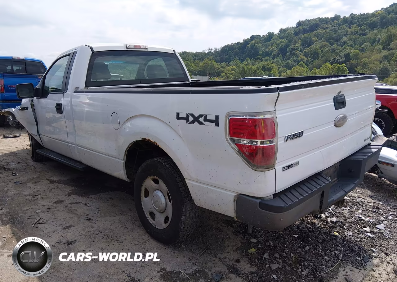 2009 Ford F-150 Xl W-Midbox Prep VIN:1FTRF14W99KB24957 - 3