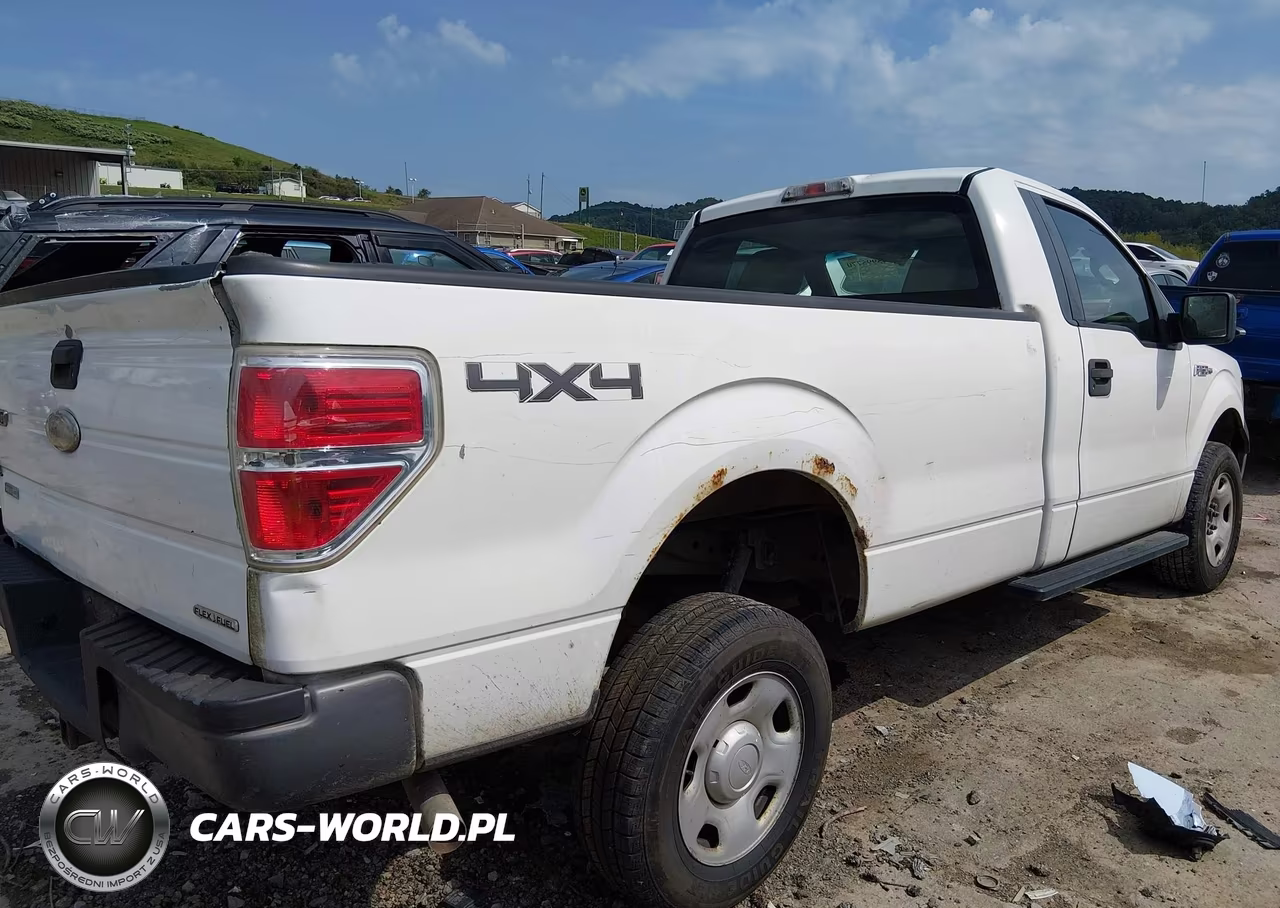 2009 Ford F-150 Xl W-Midbox Prep VIN:1FTRF14W99KB24957 - 4