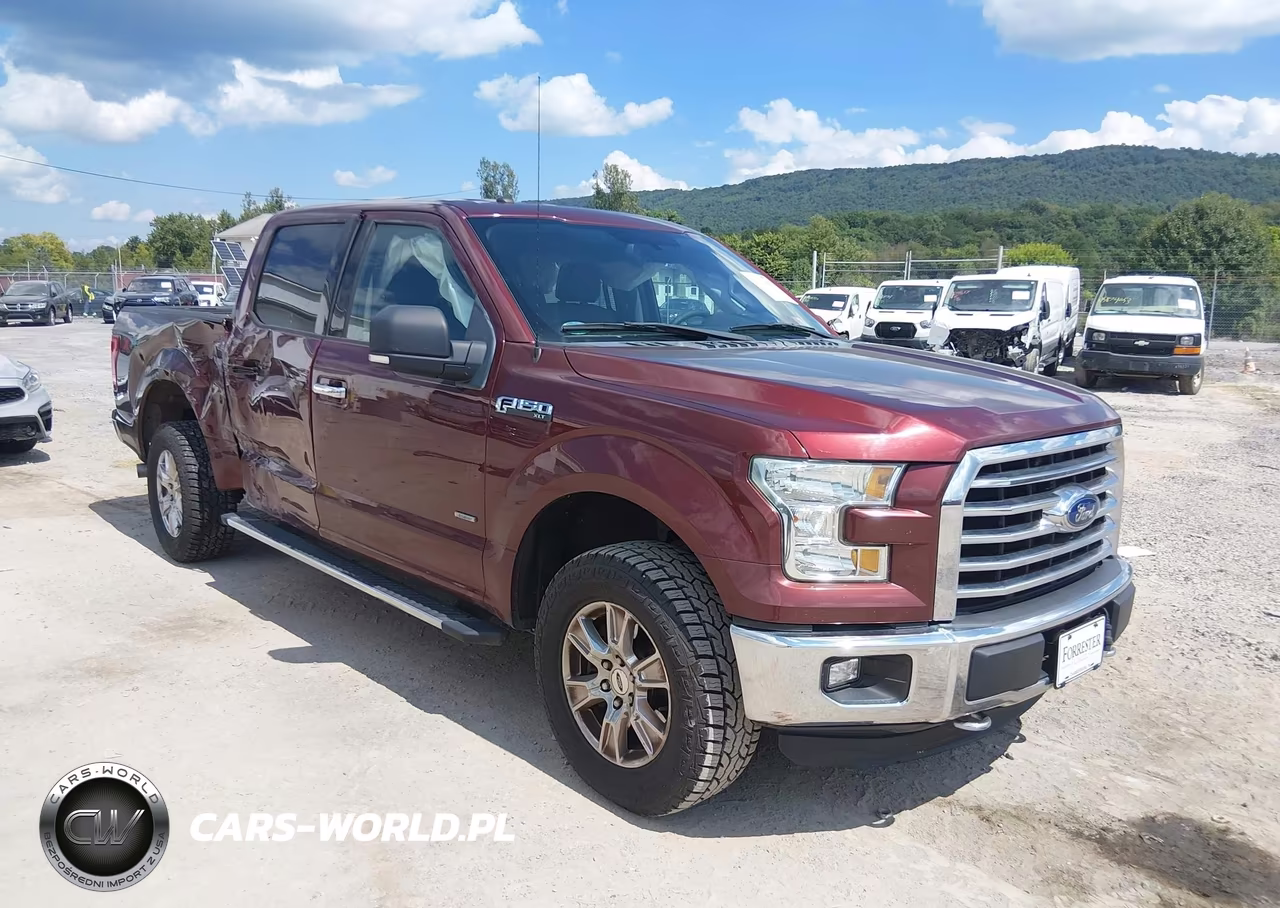 2016 Ford F-150 Xlt VIN:1FTEW1EP5GFB87419 - 1