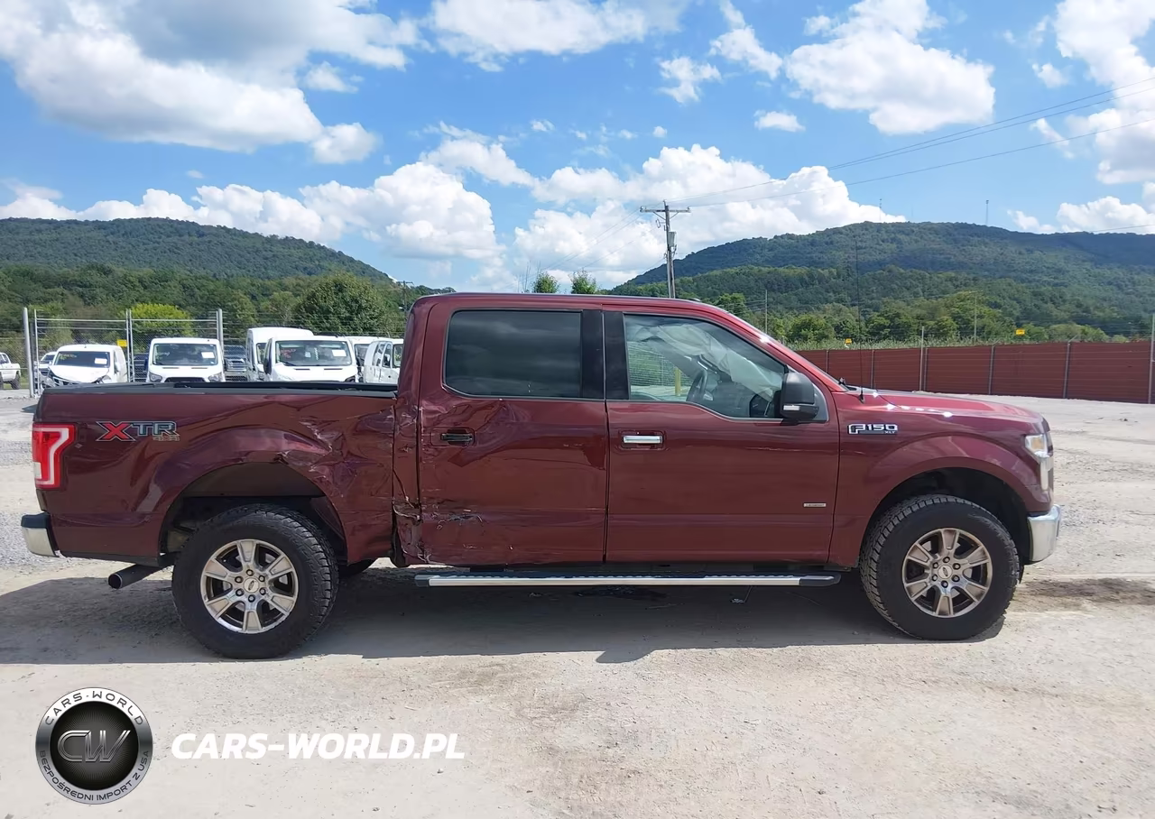 2016 Ford F-150 Xlt VIN:1FTEW1EP5GFB87419 - 13