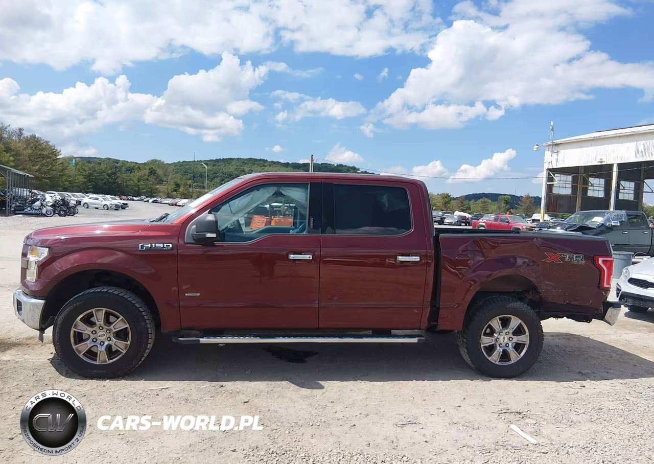 2016 Ford F-150 Xlt VIN:1FTEW1EP5GFB87419 - 14