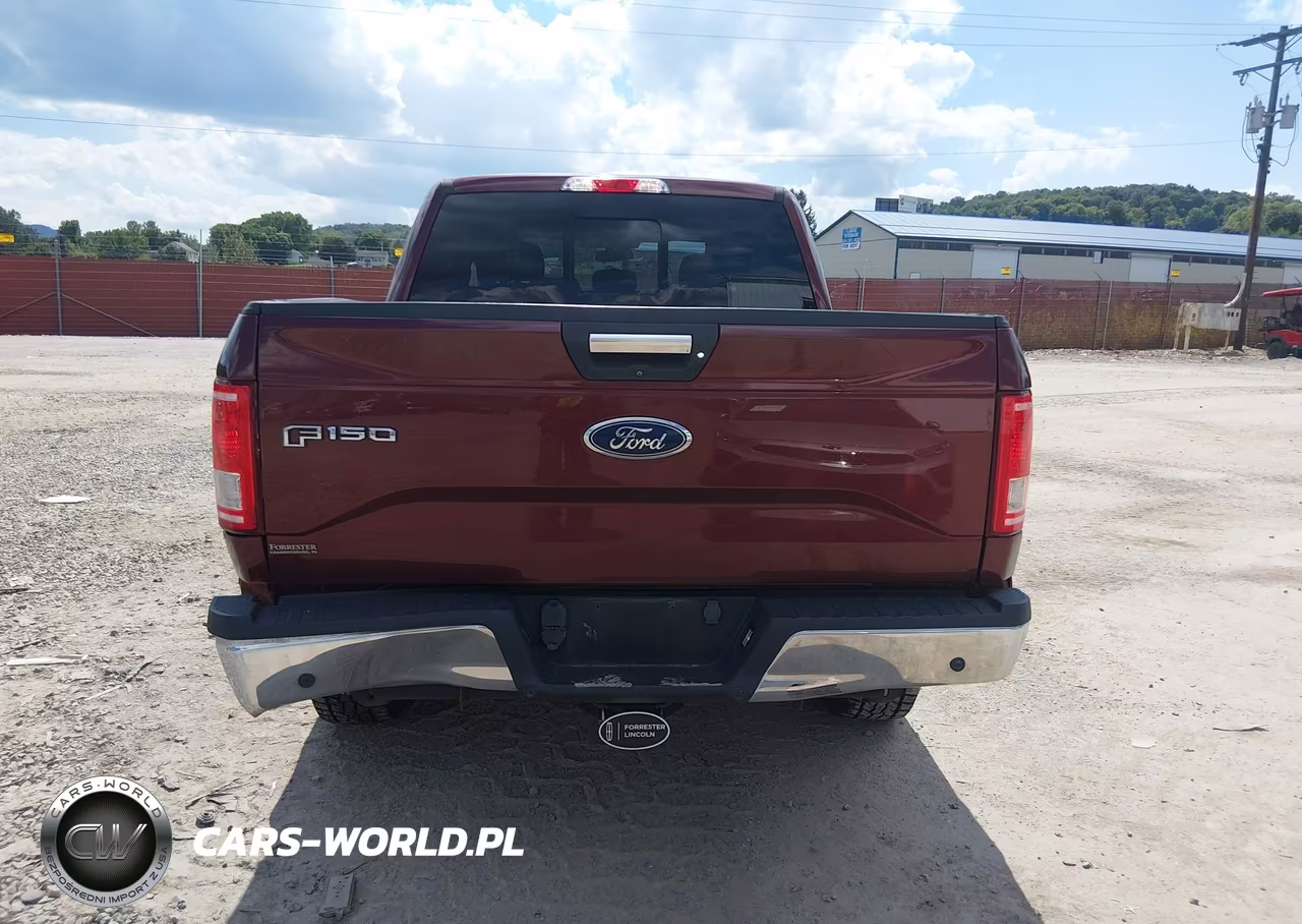 2016 Ford F-150 Xlt VIN:1FTEW1EP5GFB87419 - 16