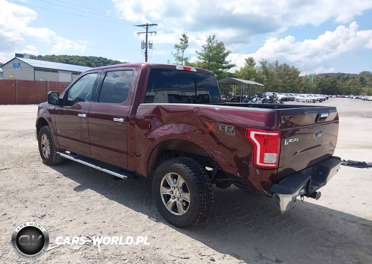 2016 Ford F-150 Xlt VIN:1FTEW1EP5GFB87419 - 3