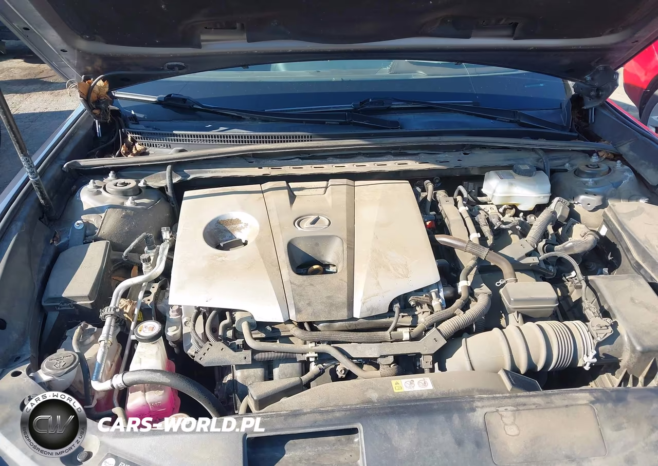 2021 Lexus Es 300H VIN:58ADA1C15MU001964 - 10