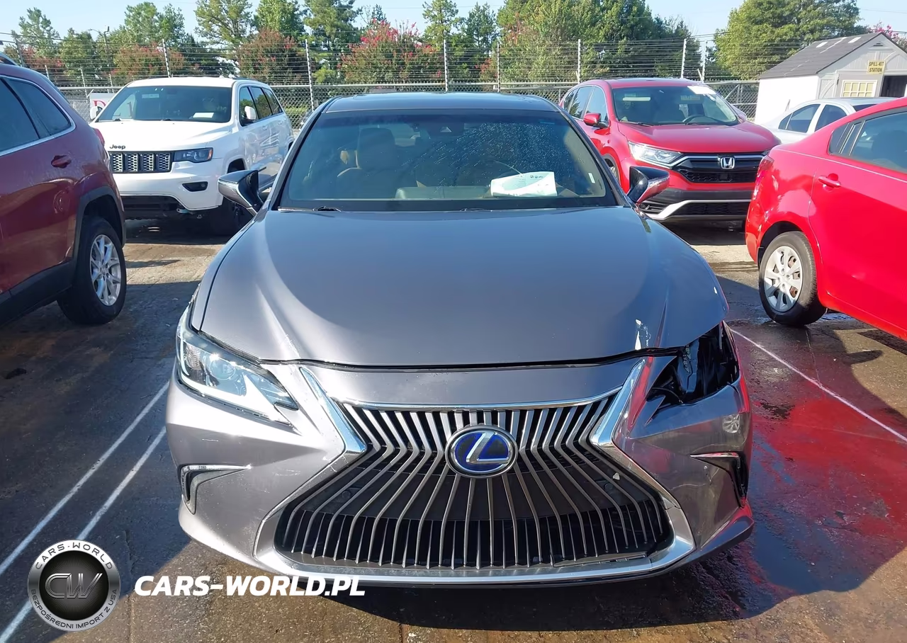 2021 Lexus Es 300H VIN:58ADA1C15MU001964 - 12