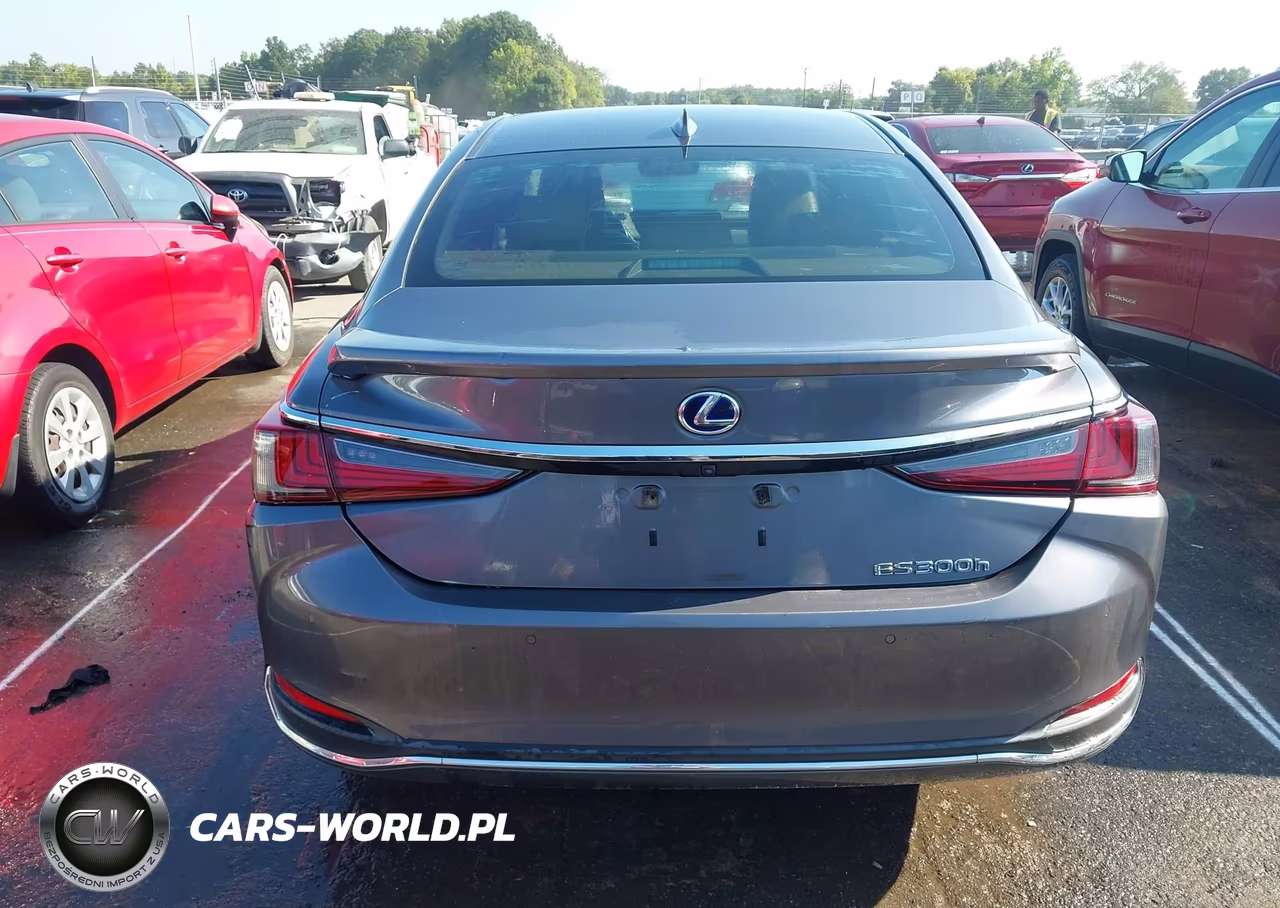2021 Lexus Es 300H VIN:58ADA1C15MU001964 - 16