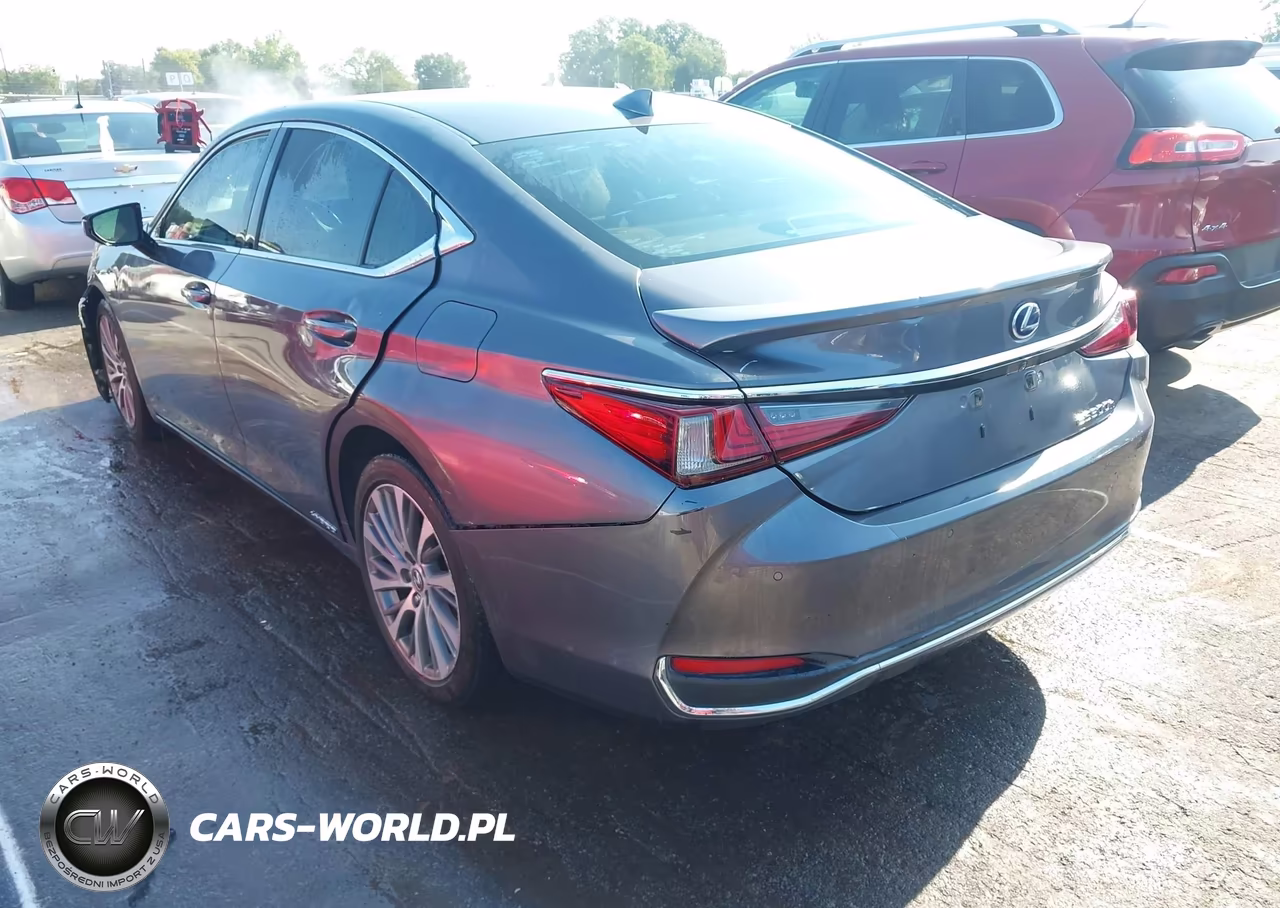 2021 Lexus Es 300H VIN:58ADA1C15MU001964 - 3