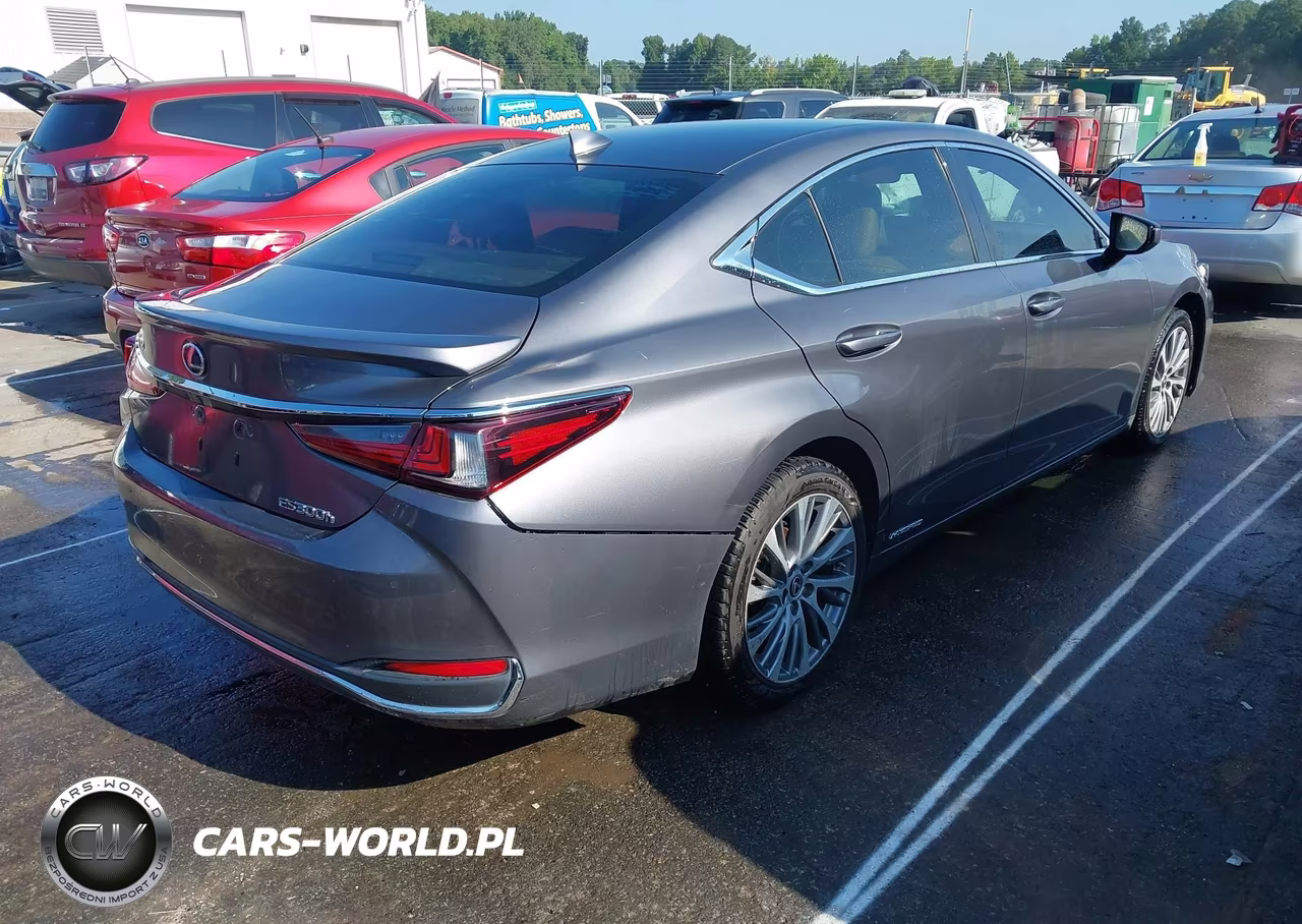 2021 Lexus Es 300H VIN:58ADA1C15MU001964 - 4