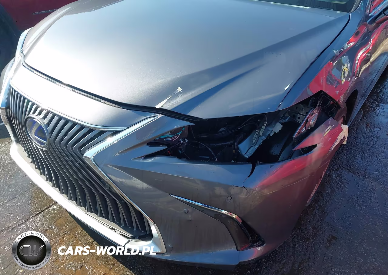 2021 Lexus Es 300H VIN:58ADA1C15MU001964 - 6