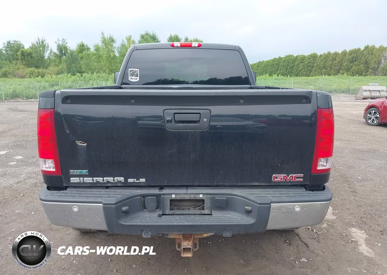 2012 GMC Sierra 1500 Sle VIN:1GTR2VE70CZ171416 - 17