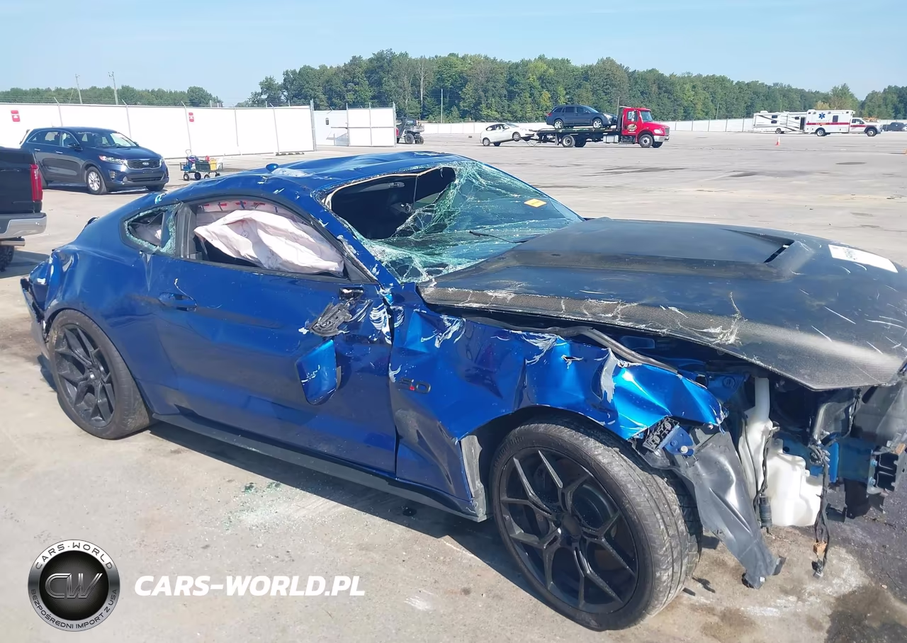 2017 Ford Mustang Gt Premium VIN:1FA6P8CF3H5203490 - 12