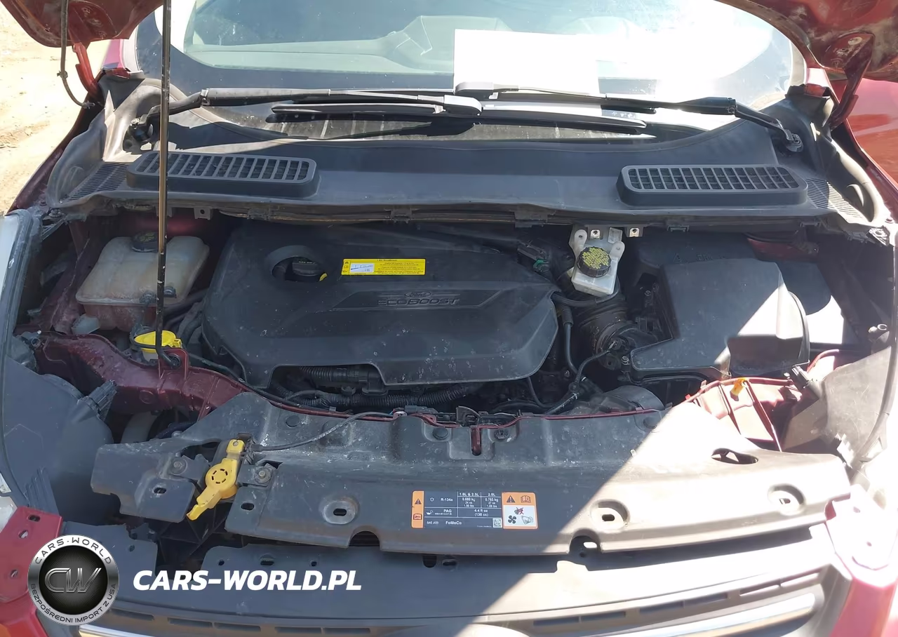 2016 Ford Escape Se VIN:1FMCU0GX1GUA44267 - 10