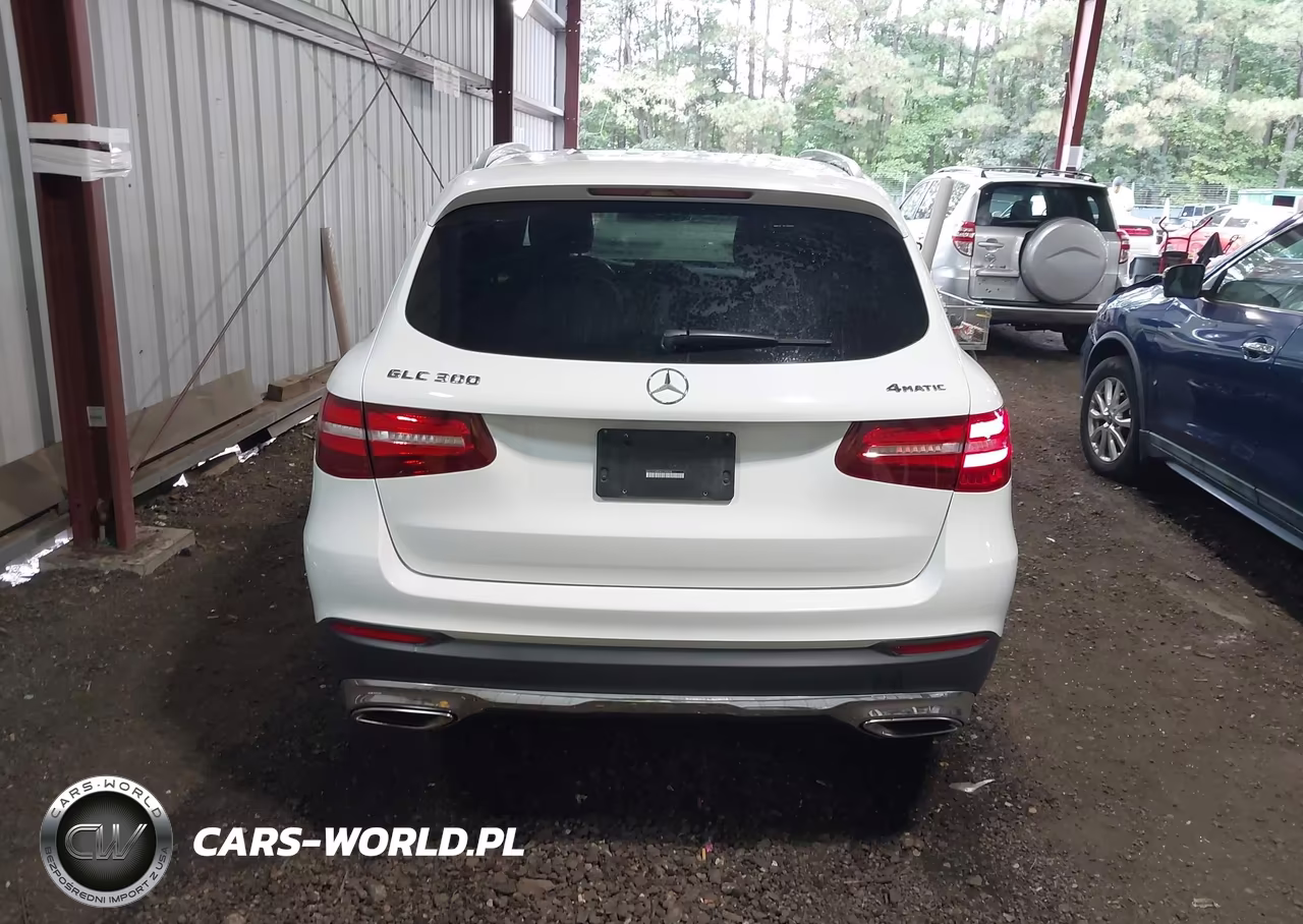 2019 Mercedes-Benz Glc 300 4Matic VIN:WDC0G4KB3KV195268 - 17