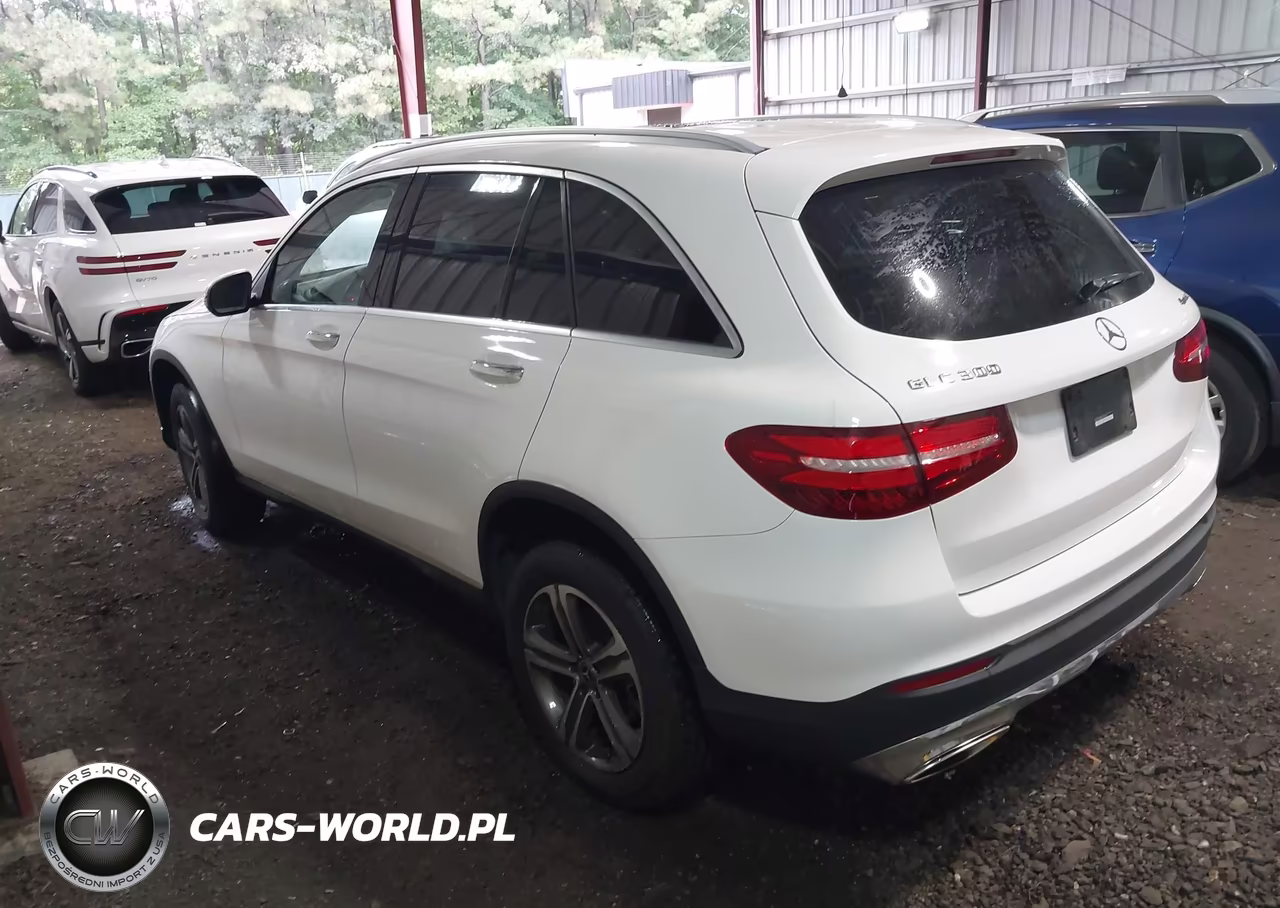 2019 Mercedes-Benz Glc 300 4Matic VIN:WDC0G4KB3KV195268 - 3