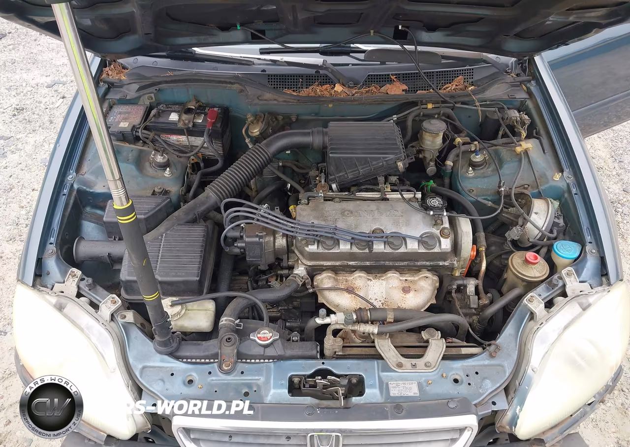 1998 Honda Civic Lx VIN:2HGEJ6673WH629848 - 10