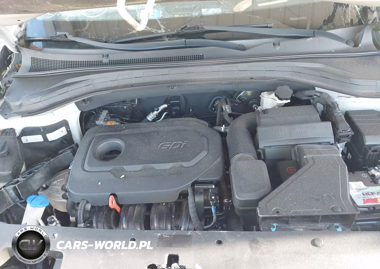 2019 Hyundai Santa Fe Ultimate VIN:5NMS53AD2KH101749 - 10