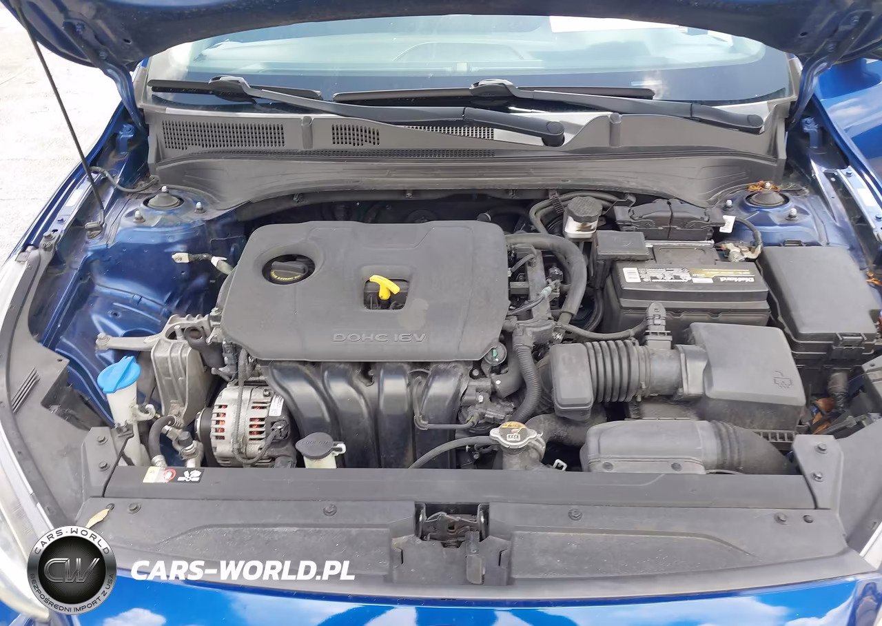 2019 Kia Forte Lxs VIN:3KPF24ADXKE103837 - 10