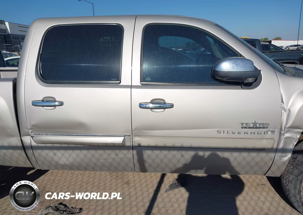 2009 Chevrolet Silverado 1500 Lt VIN:3GCEC23J89G252391 - 13