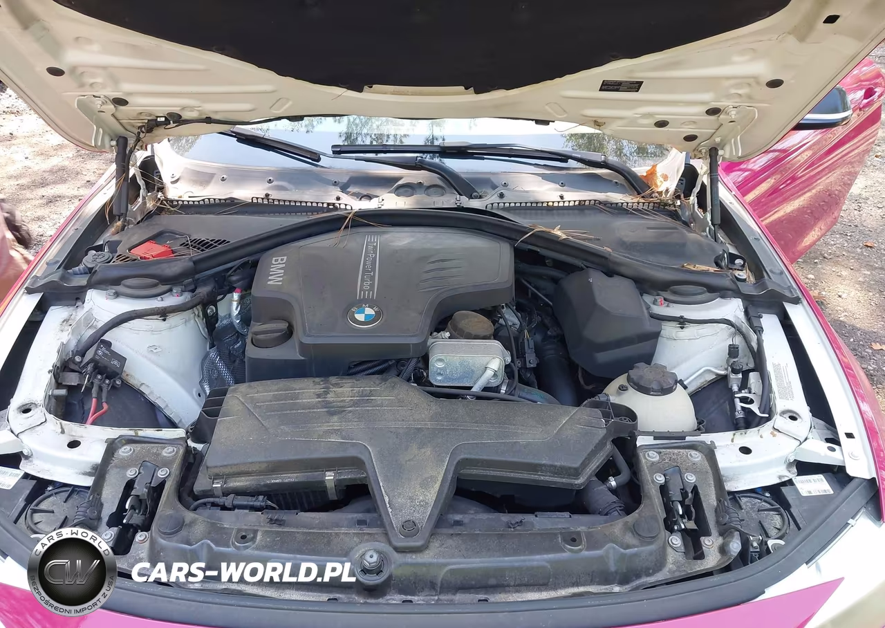 2014 BMW 428I VIN:WBA3N7C56EF718779 - 10