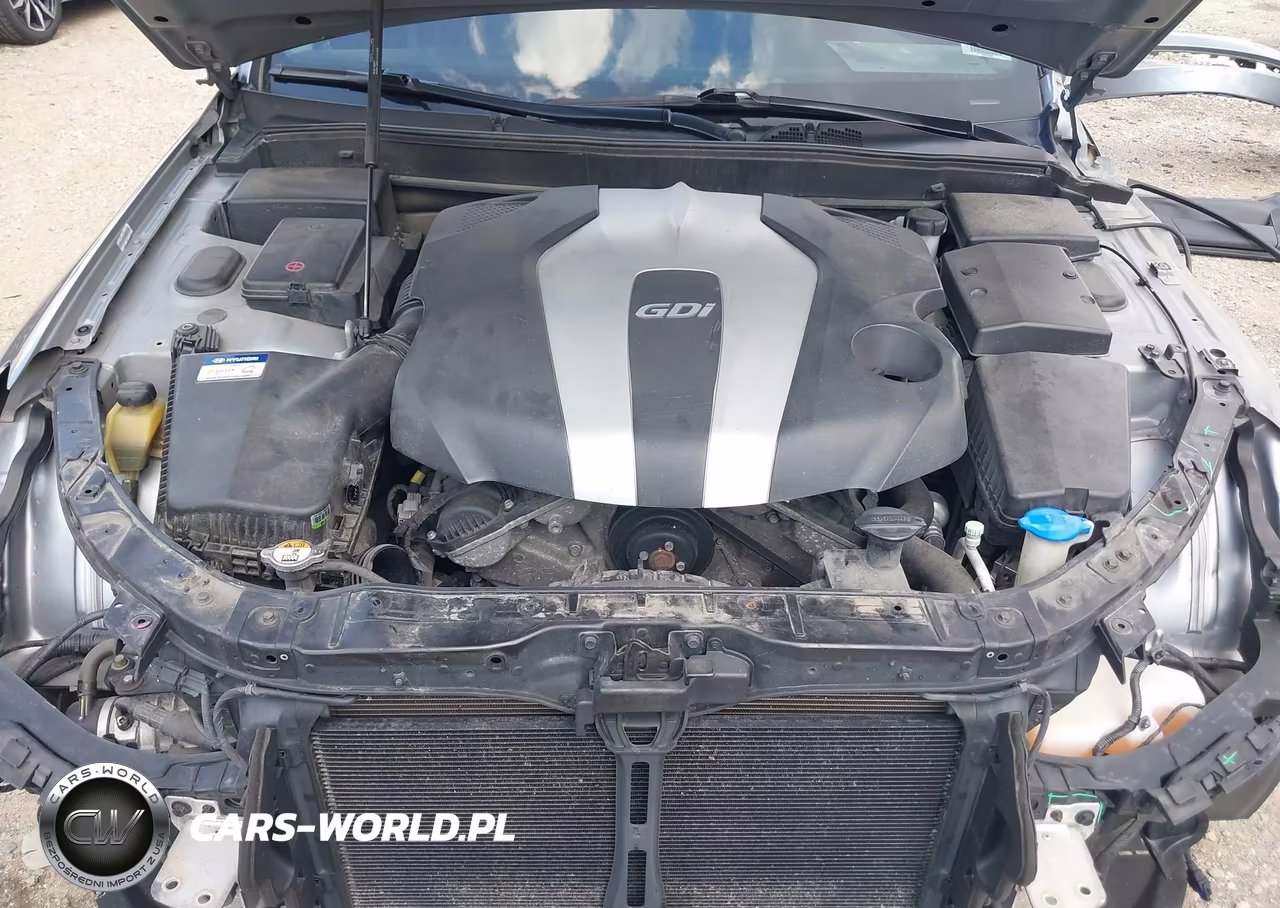 2014 Hyundai Genesis 3.8 VIN:KMHGC4DD6EU262014 - 10