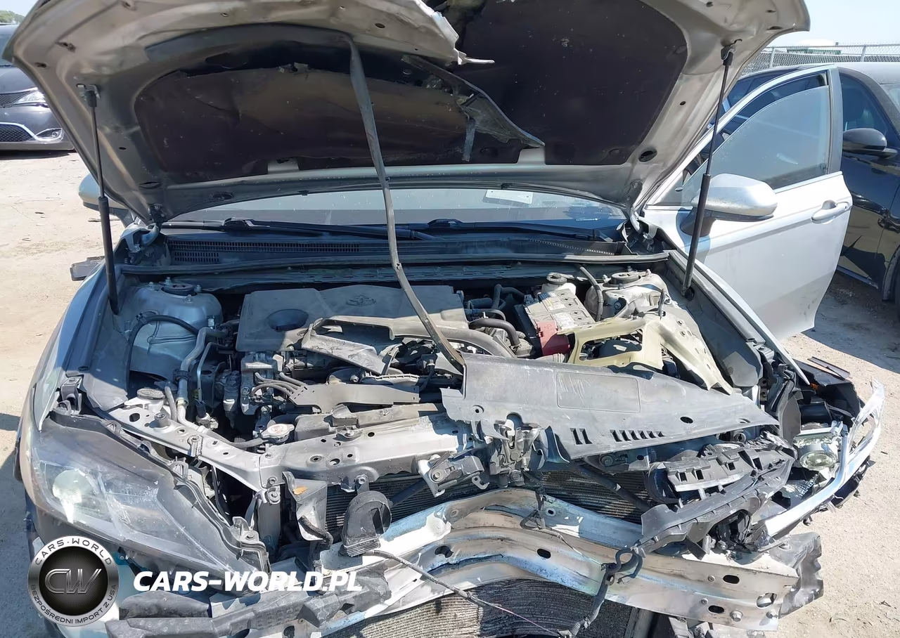 2019 Toyota Camry Se VIN:4T1B11HK6KU699448 - 10