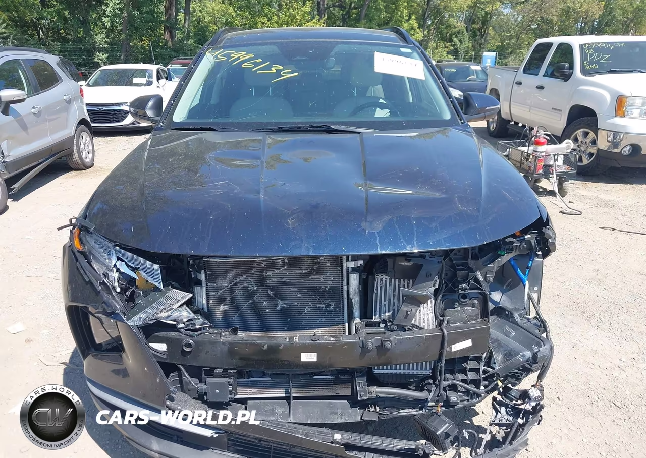 2024 Hyundai Tucson Hybrid Sel Convenience VIN:KM8JCCD14RU163106 - 12