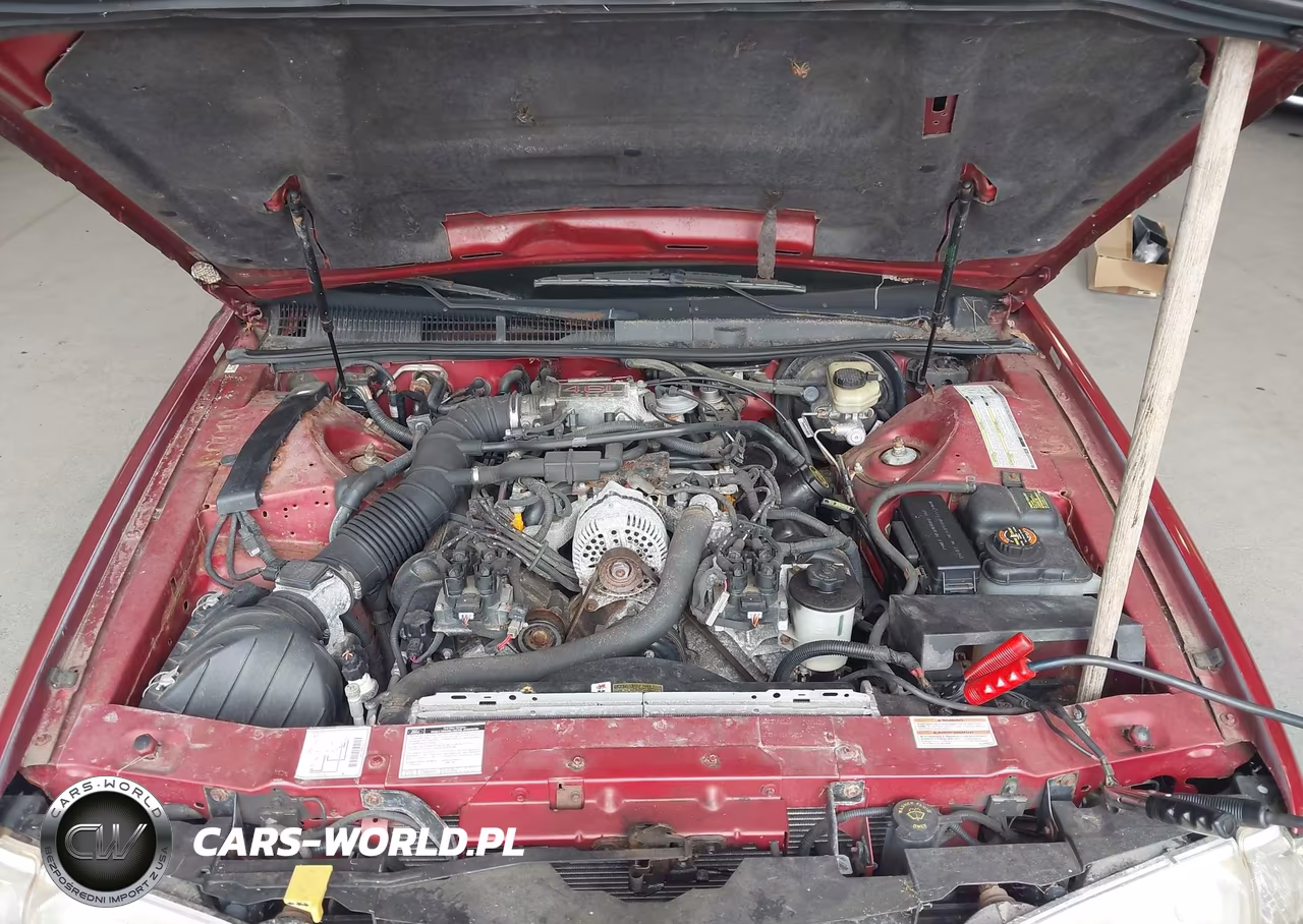 1997 Ford Thunderbird Lx VIN:1FALP62W1VH103620 - 10