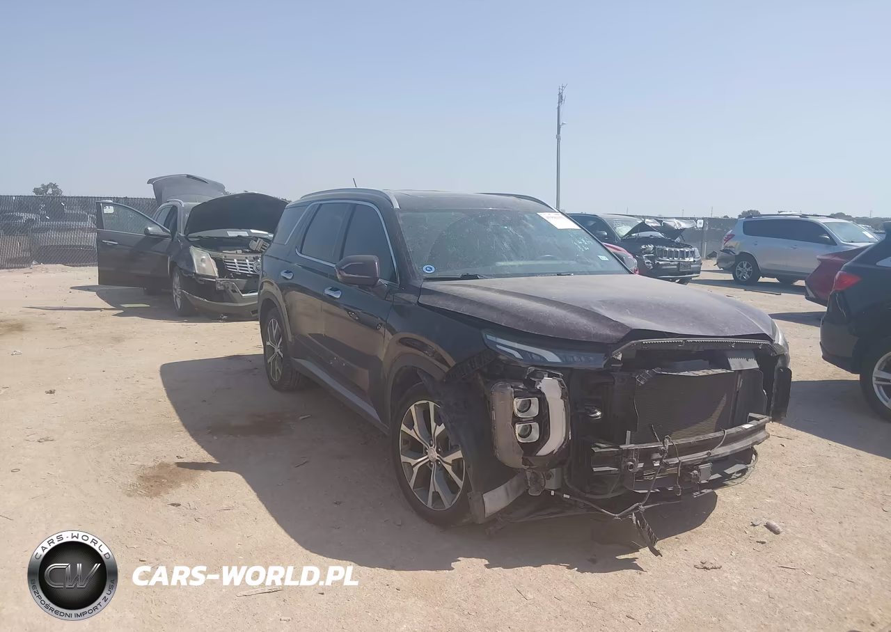 2020 Hyundai Palisade Sel VIN:KM8R34HEXLU160966 - 1