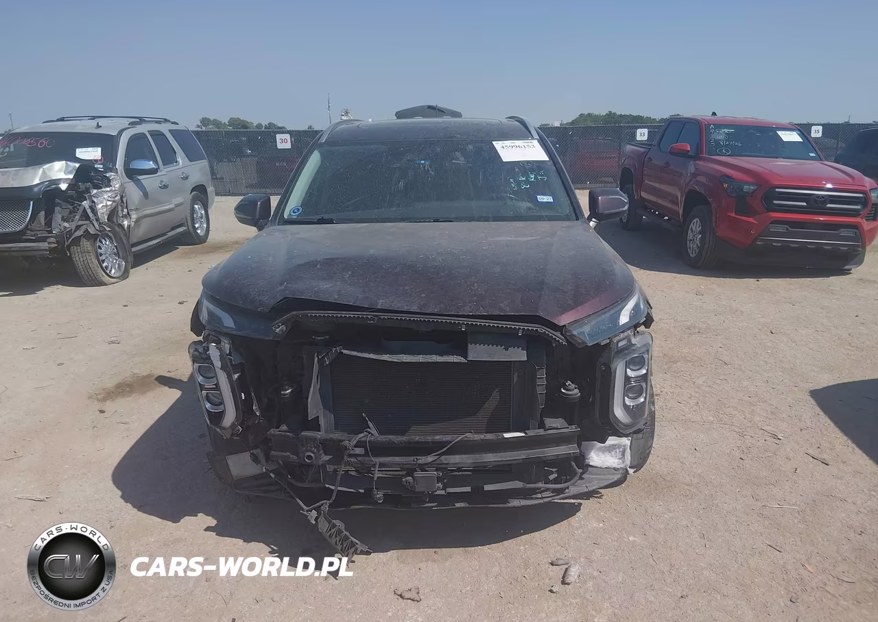2020 Hyundai Palisade Sel VIN:KM8R34HEXLU160966 - 12