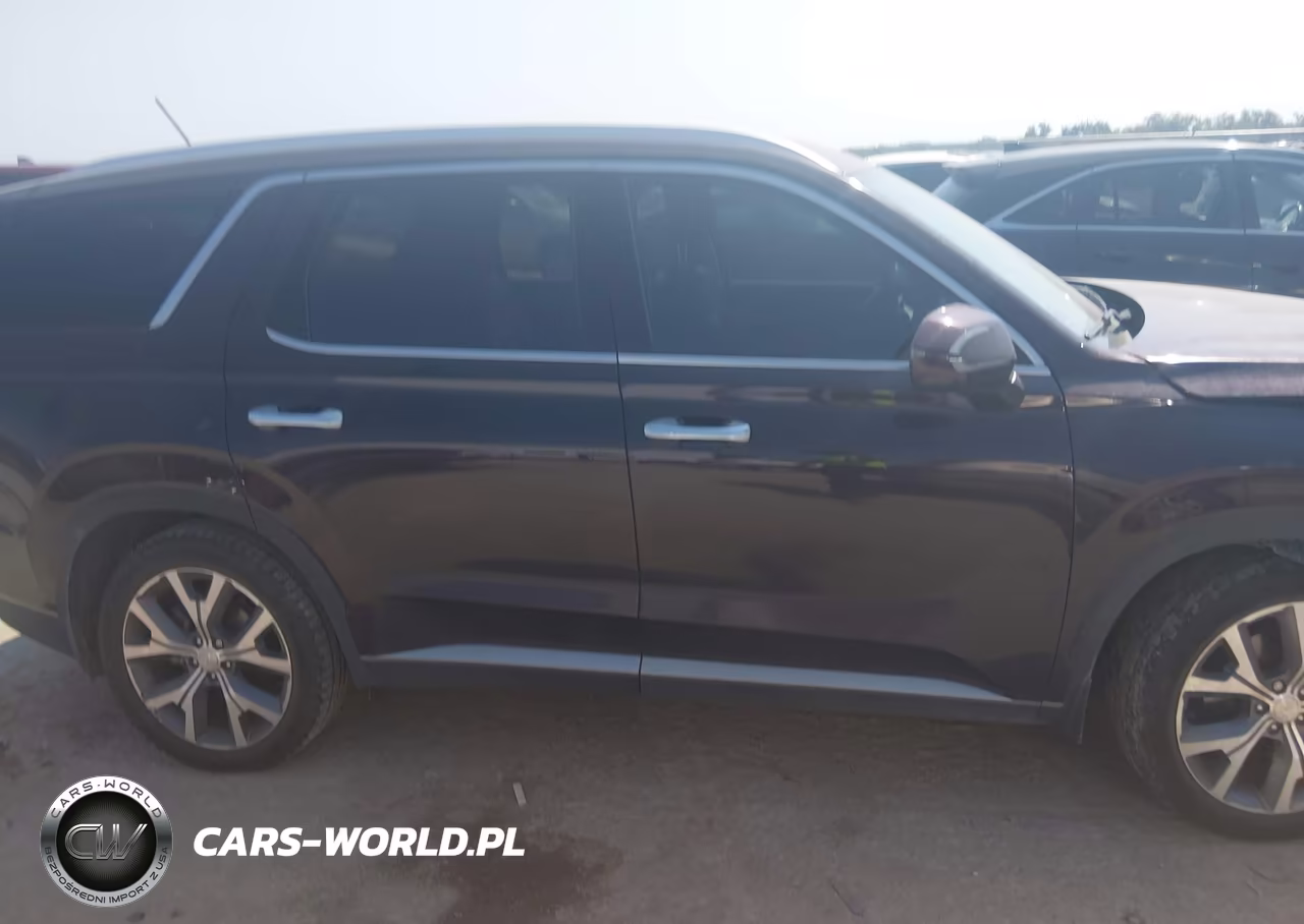 2020 Hyundai Palisade Sel VIN:KM8R34HEXLU160966 - 13