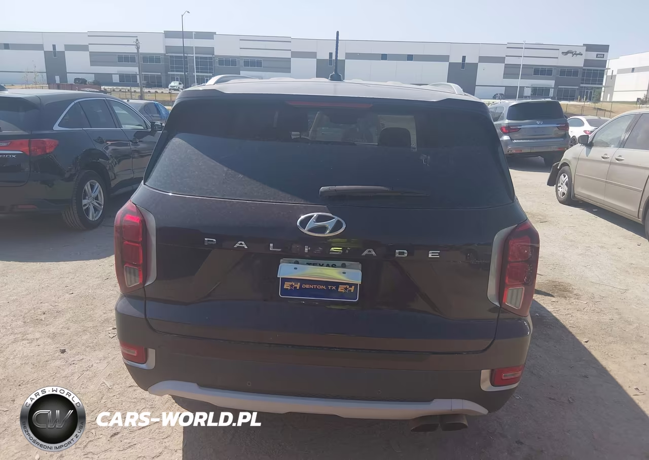 2020 Hyundai Palisade Sel VIN:KM8R34HEXLU160966 - 16